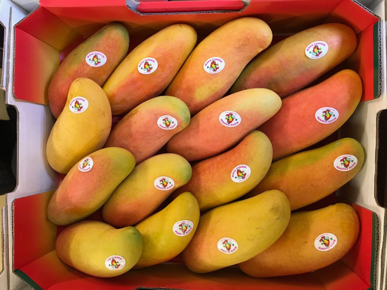 Mango Varieties Tous Garden Australian Mango Exporters